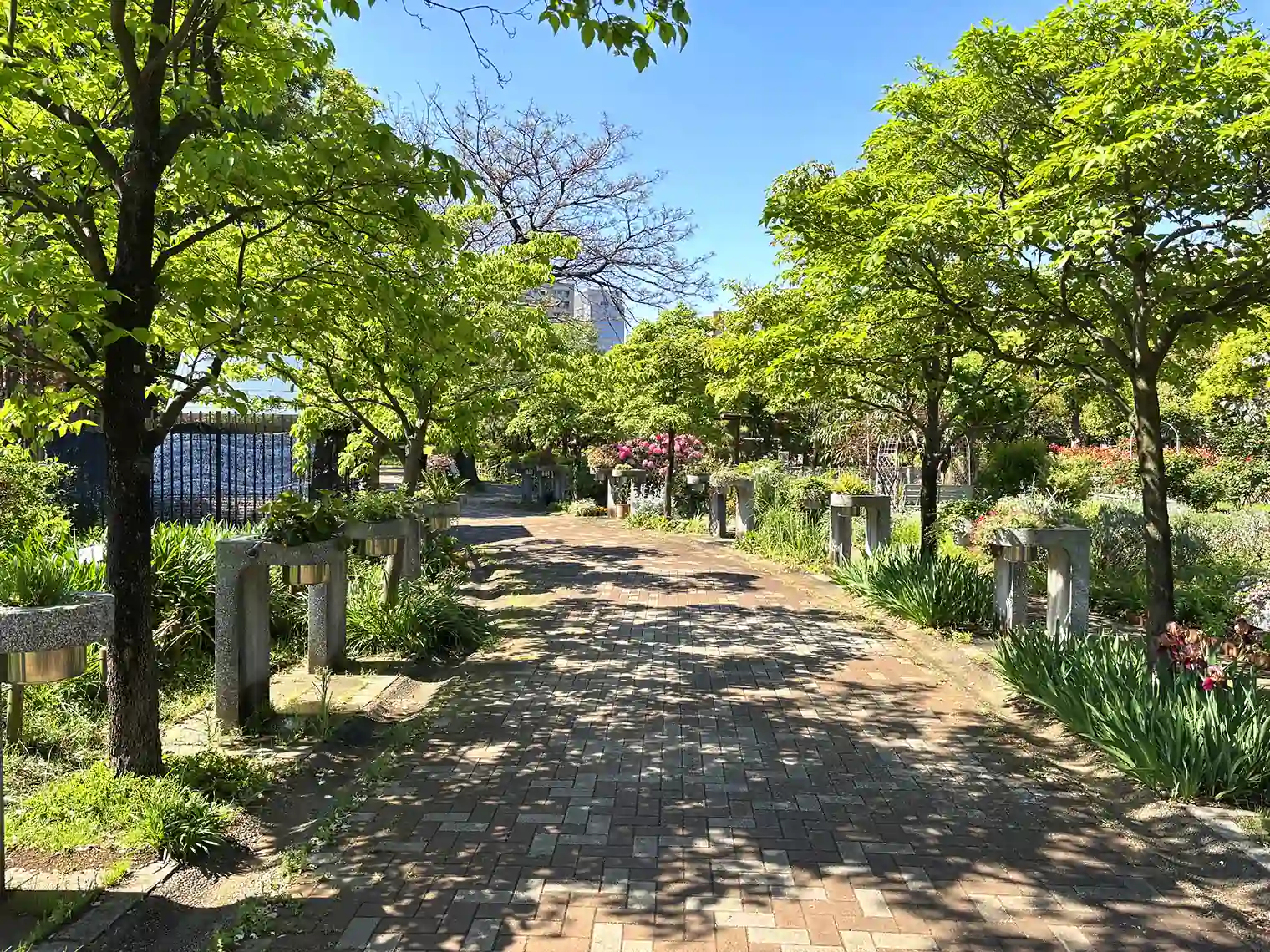 都市緑化植物園