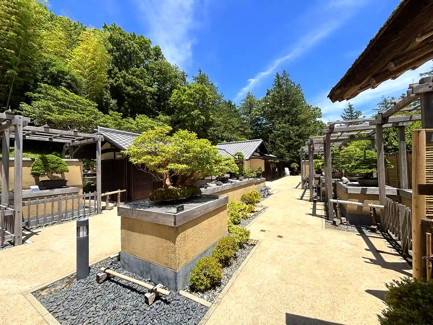 盆栽園