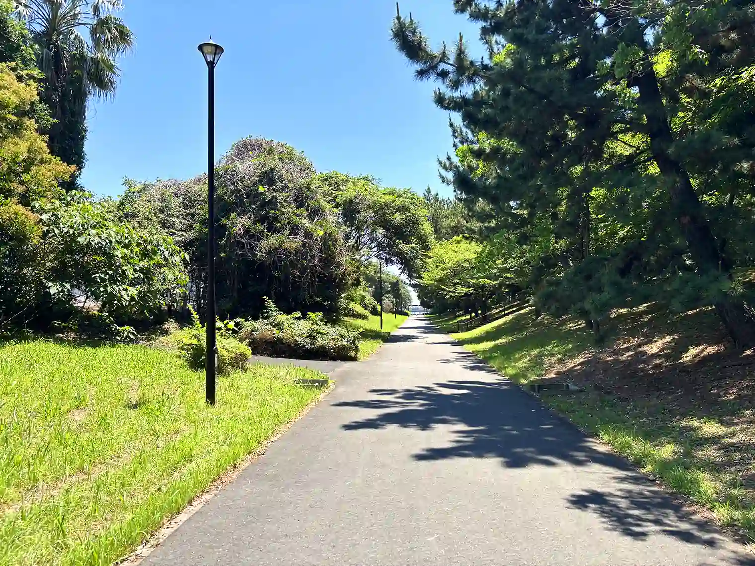 遊歩道