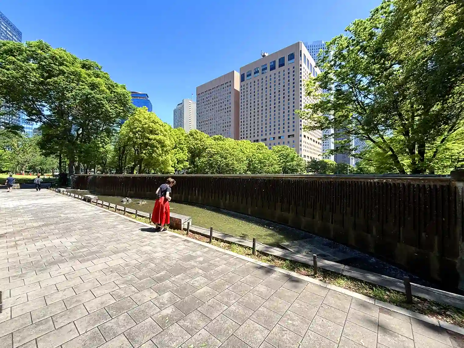 新宿白糸の滝
