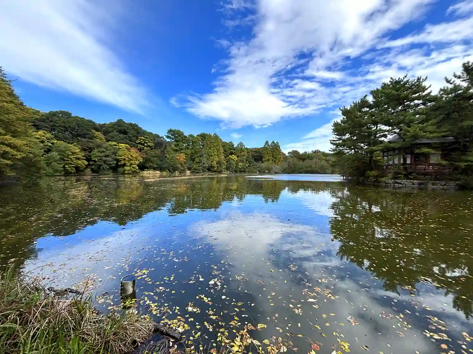 三宝寺池