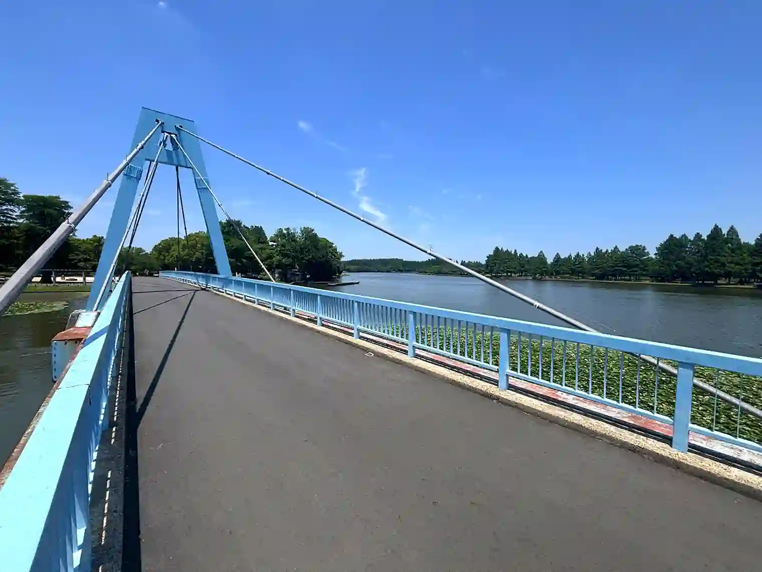 水元大橋