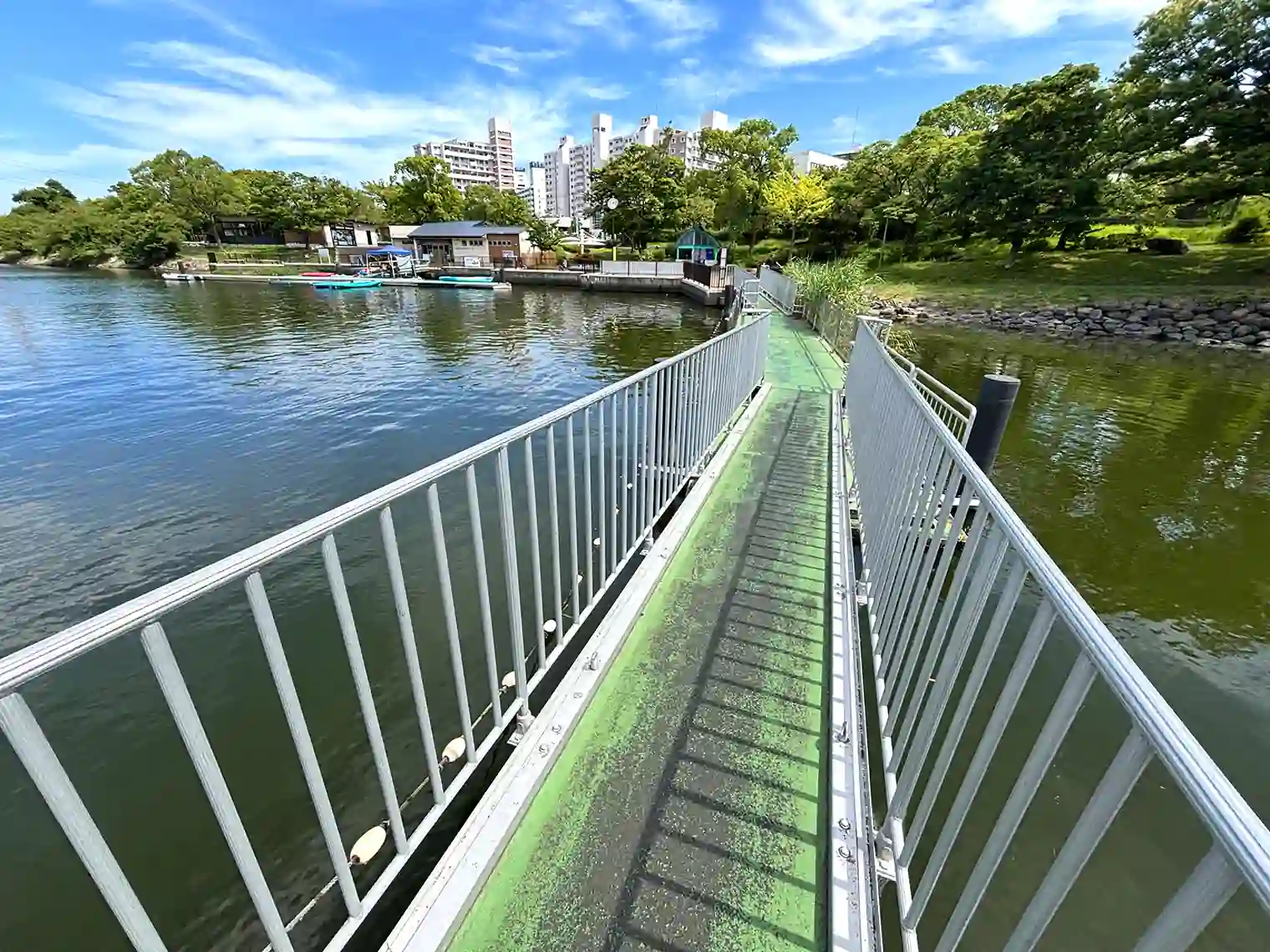 新左近川を横断できる簡易的な橋