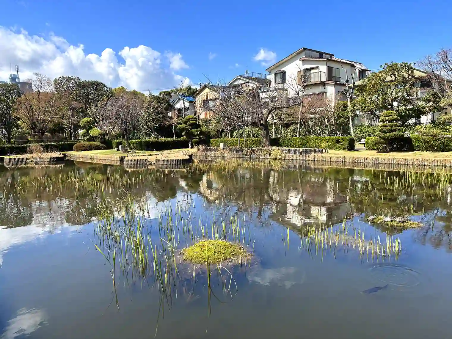 水生池