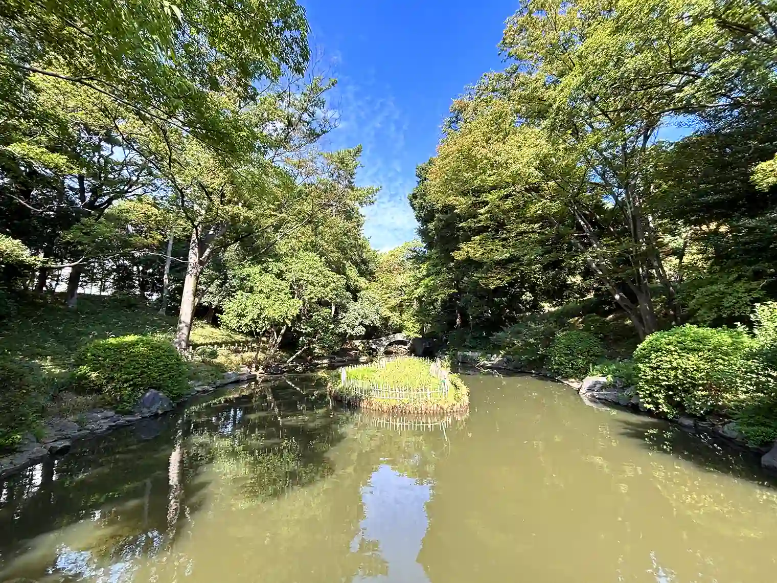花菖蒲園
