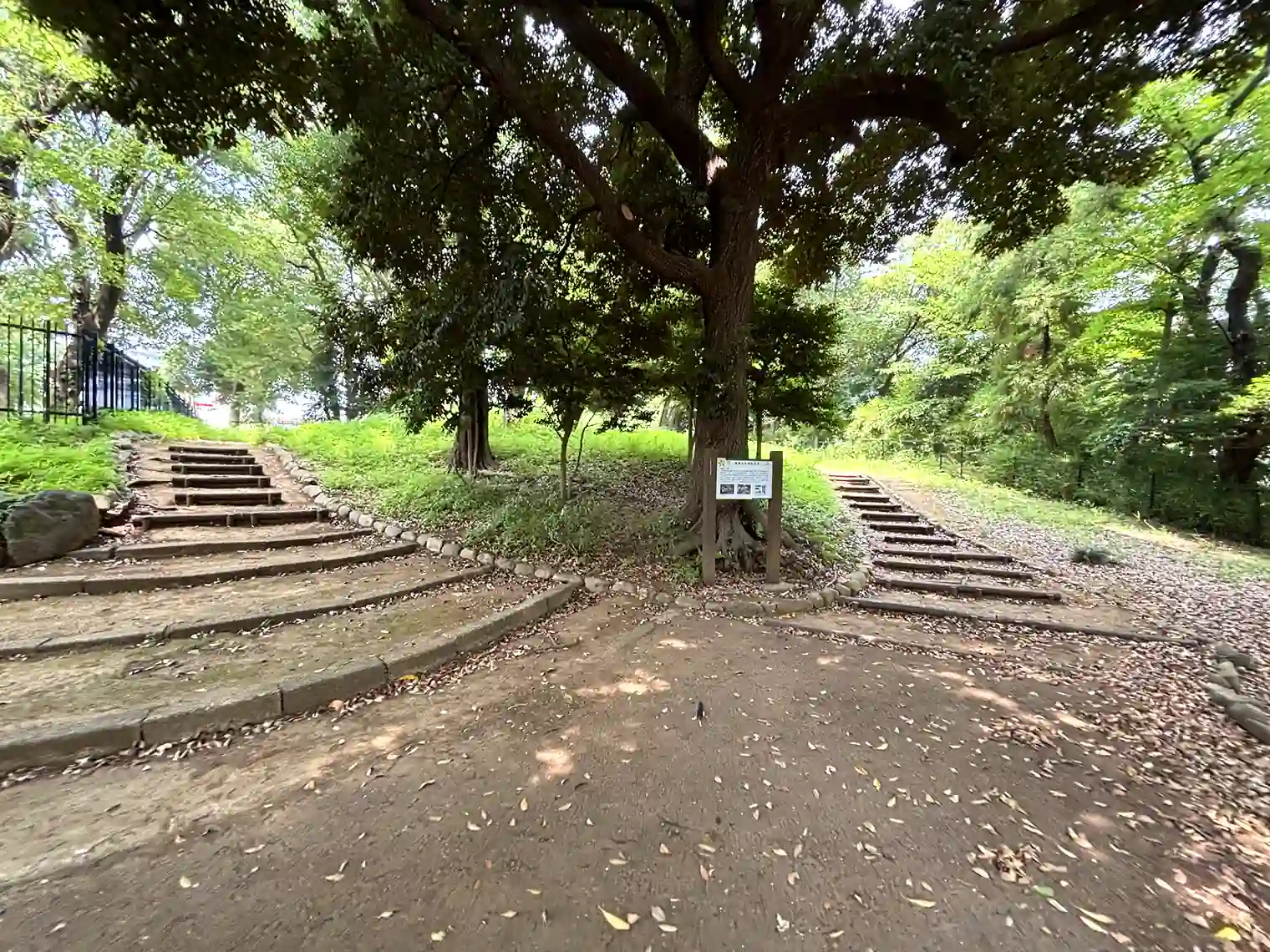 飛鳥山公園の古墳