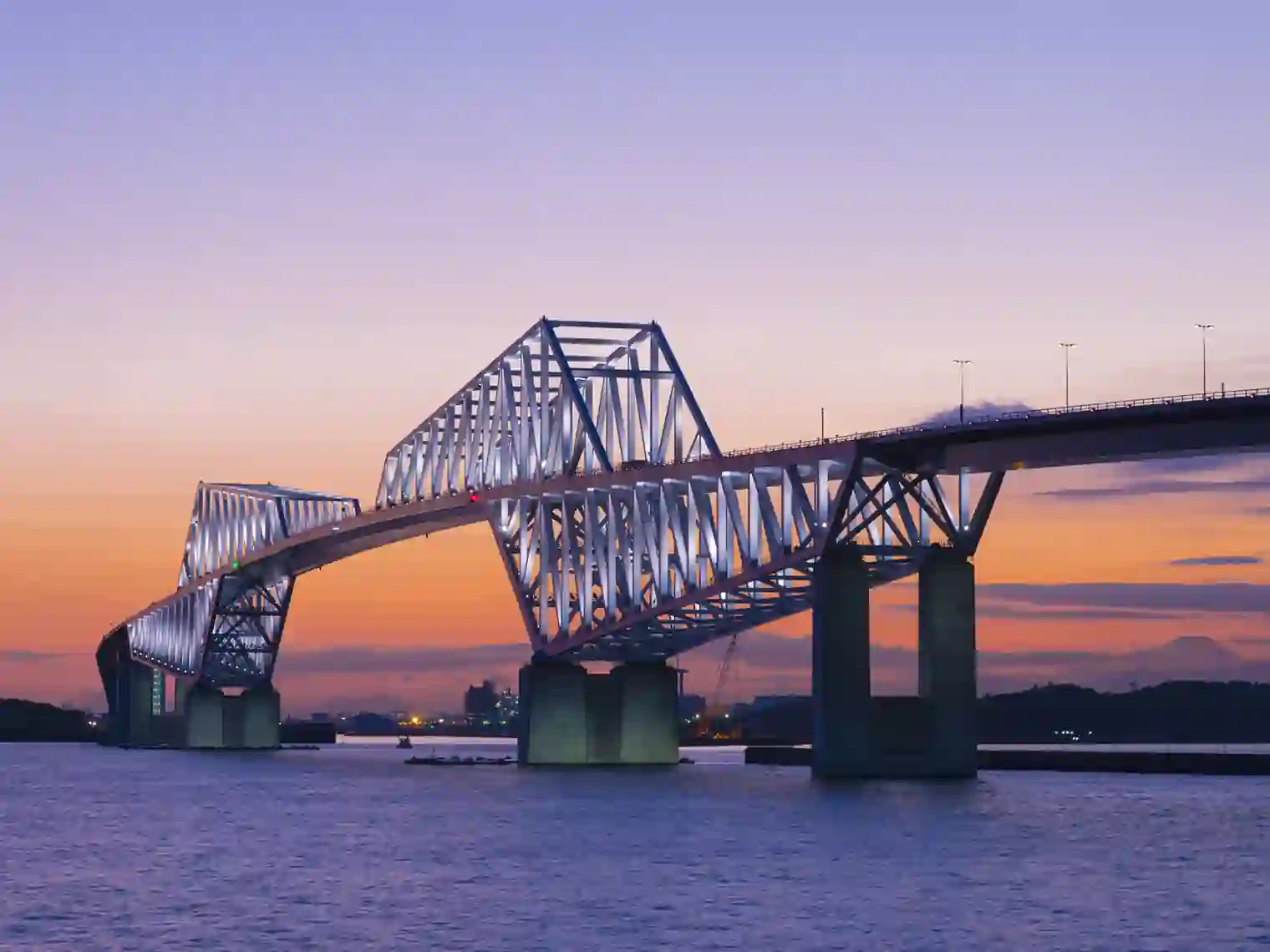 東京ゲートブリッジの夜景（若洲海浜公園）［PIXTA画像］
