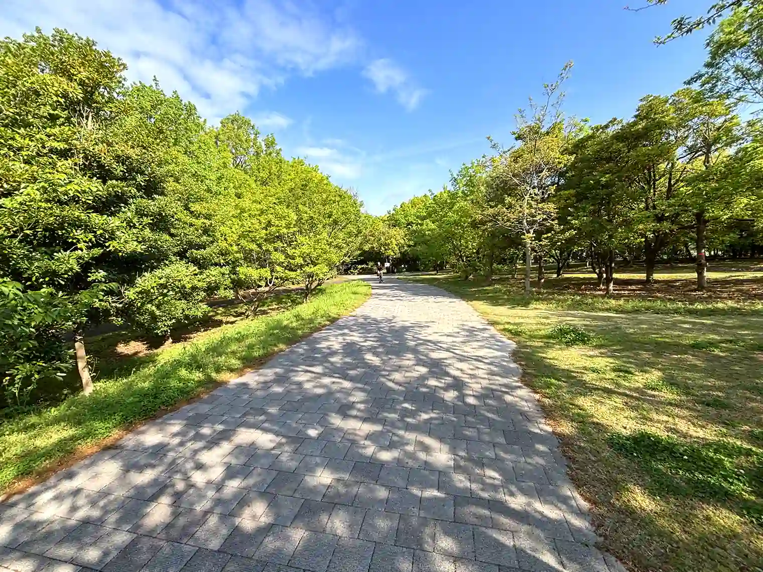 遊歩道