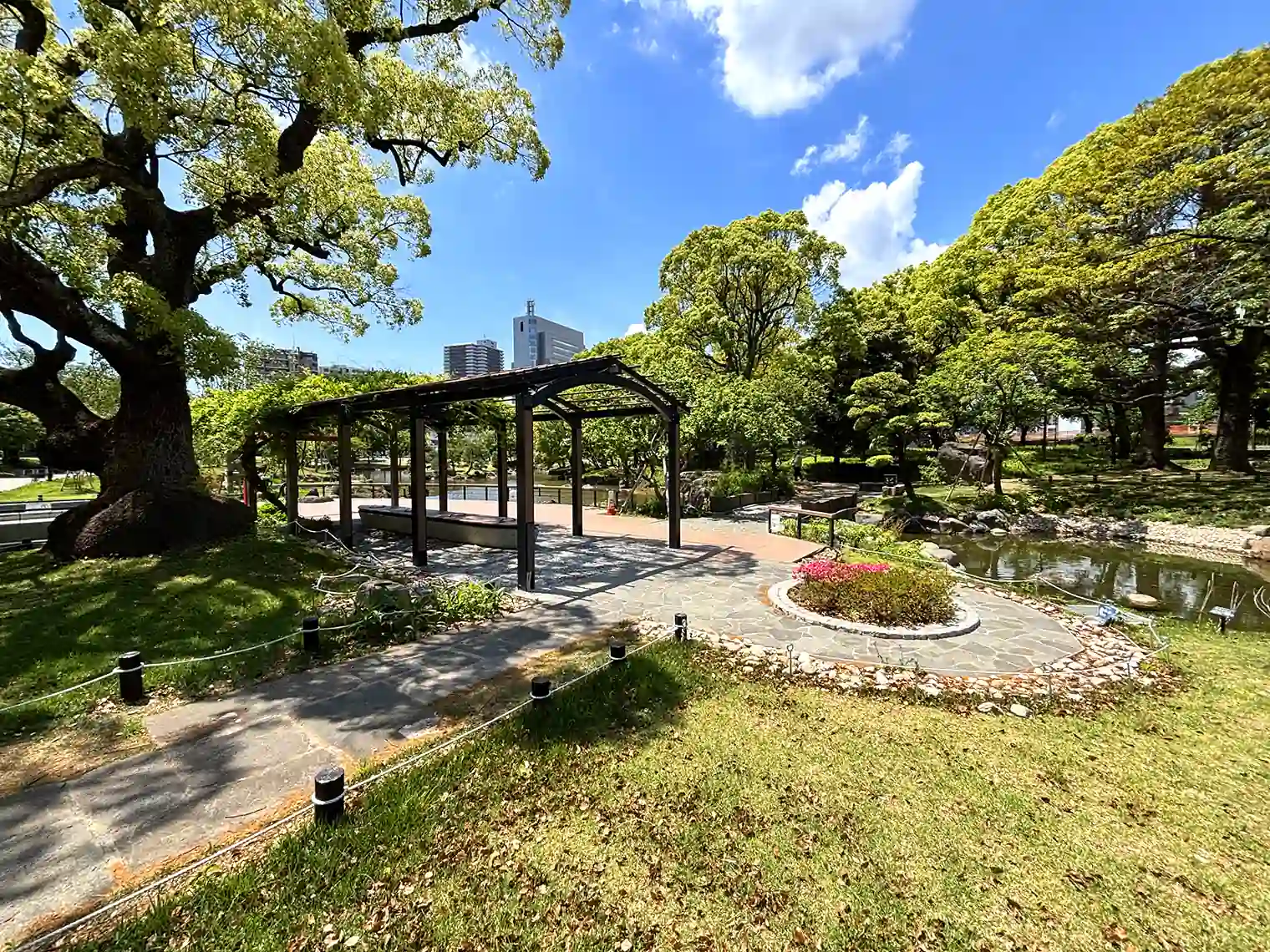 藤棚エリア