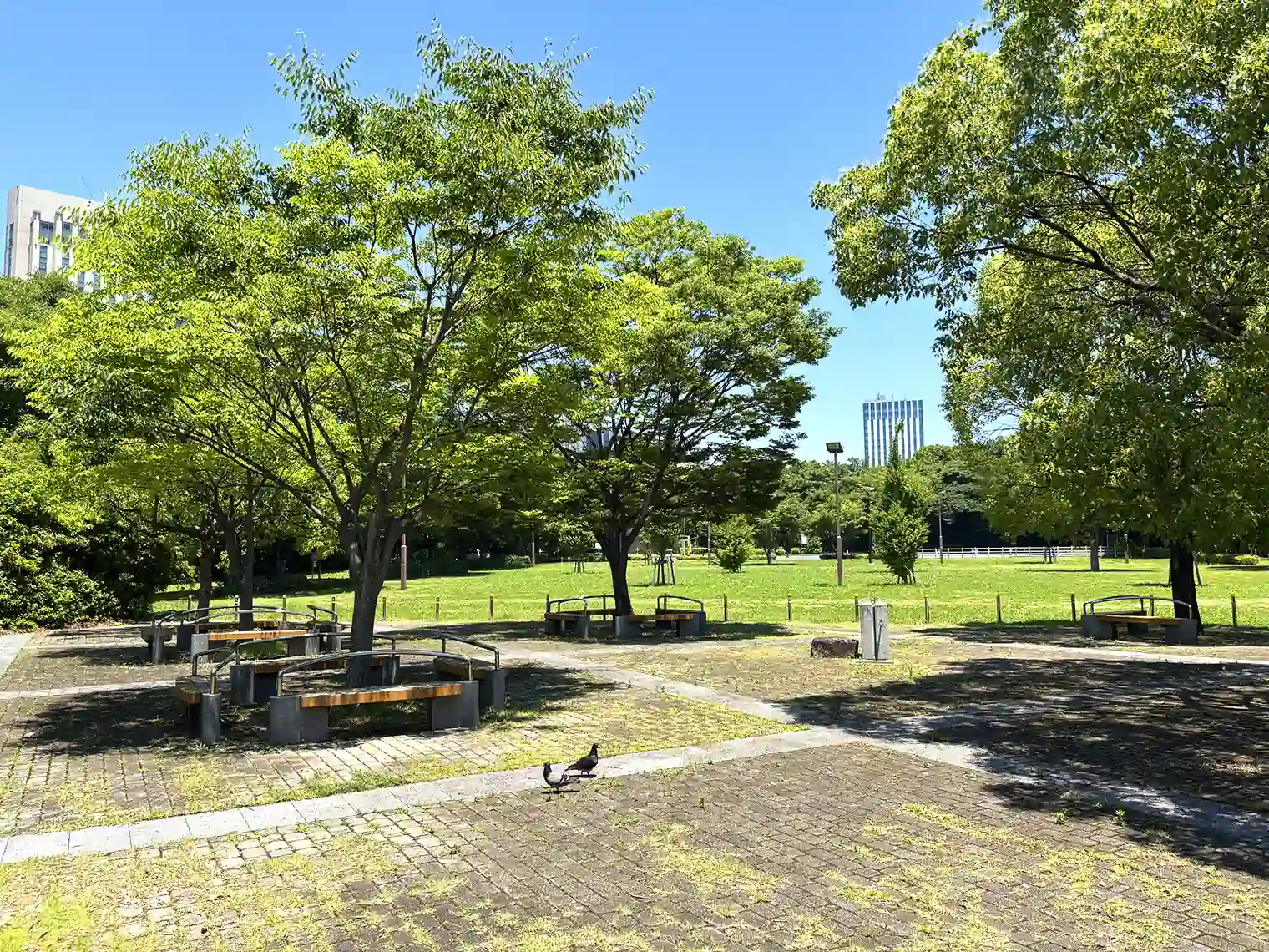 ひだまり広場