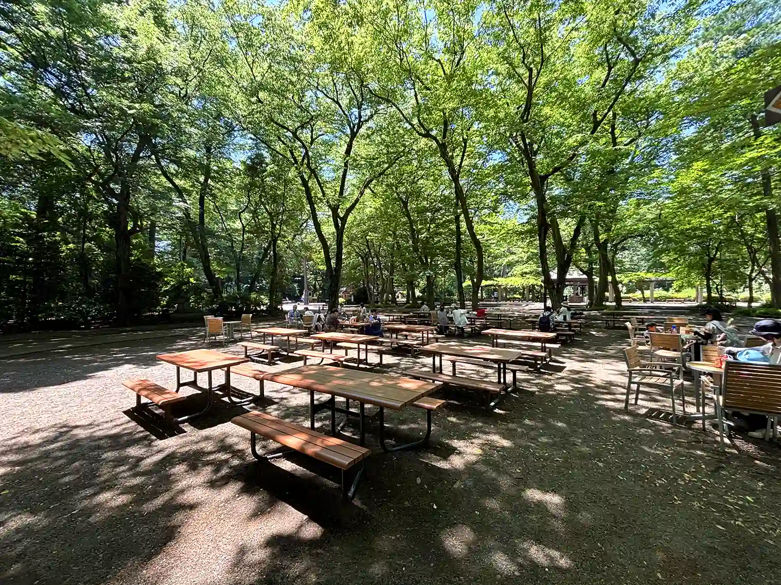 動物園（本園）内の休憩広場