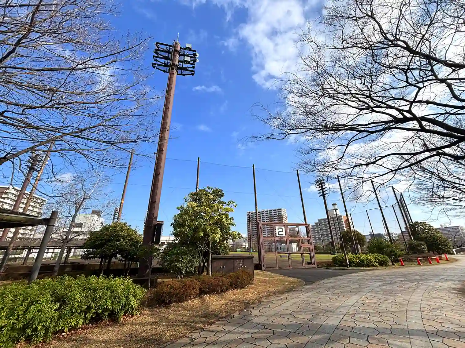 野球場（スポーツ公園エリア）