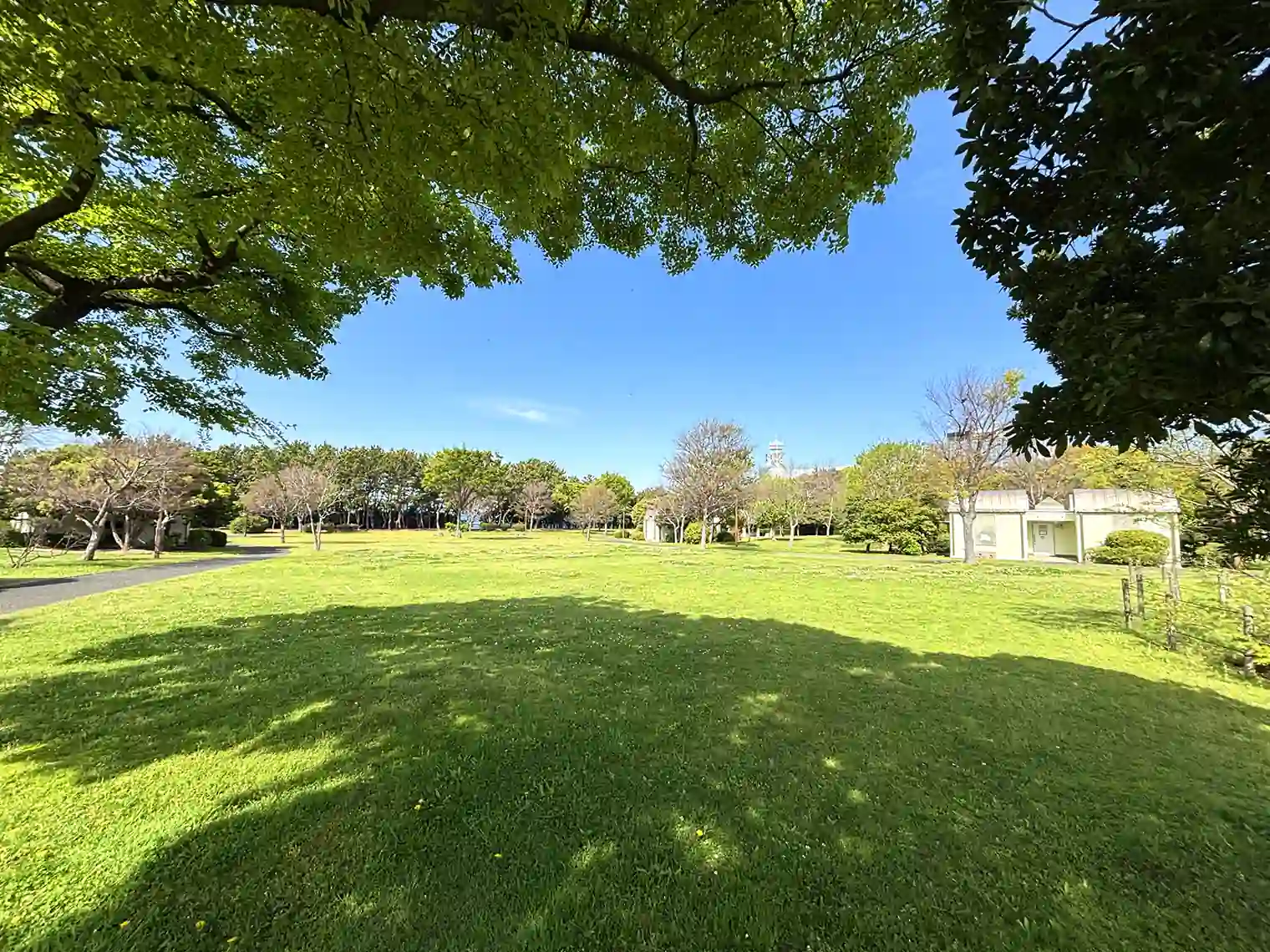 キャンプ場（若洲公園）