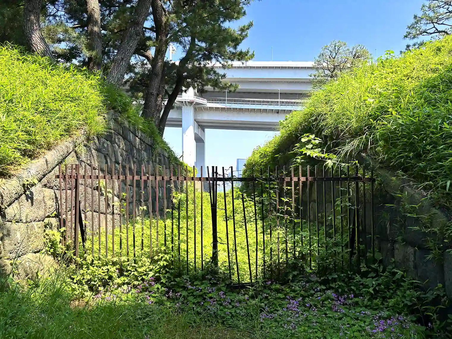 波止場