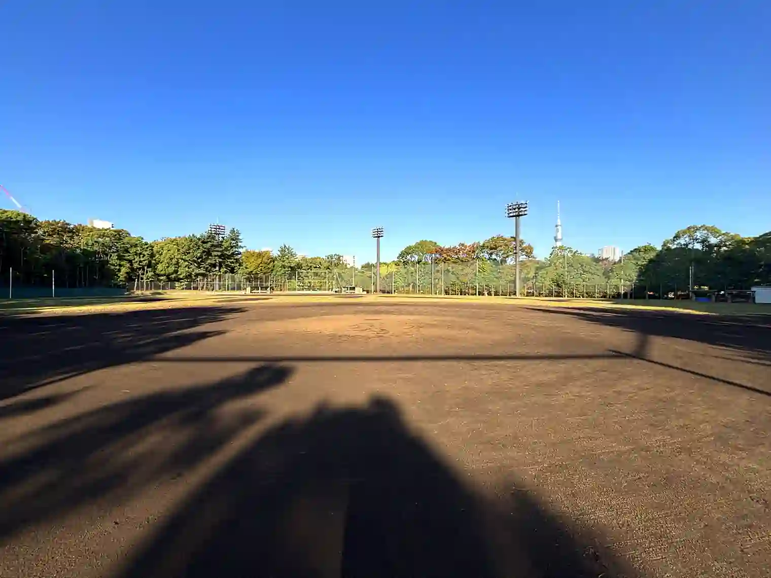 野球場
