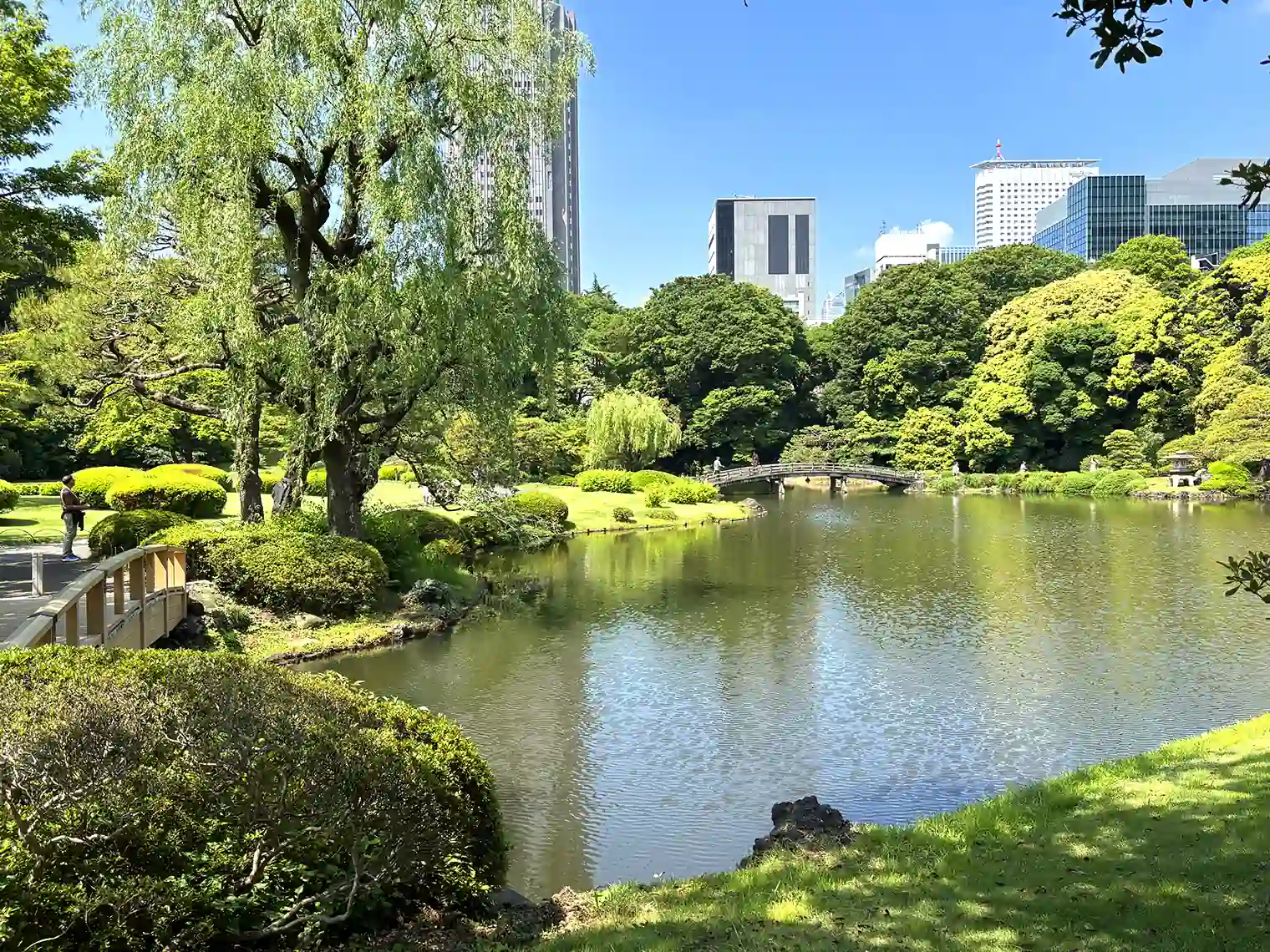 上の池（西エリア）