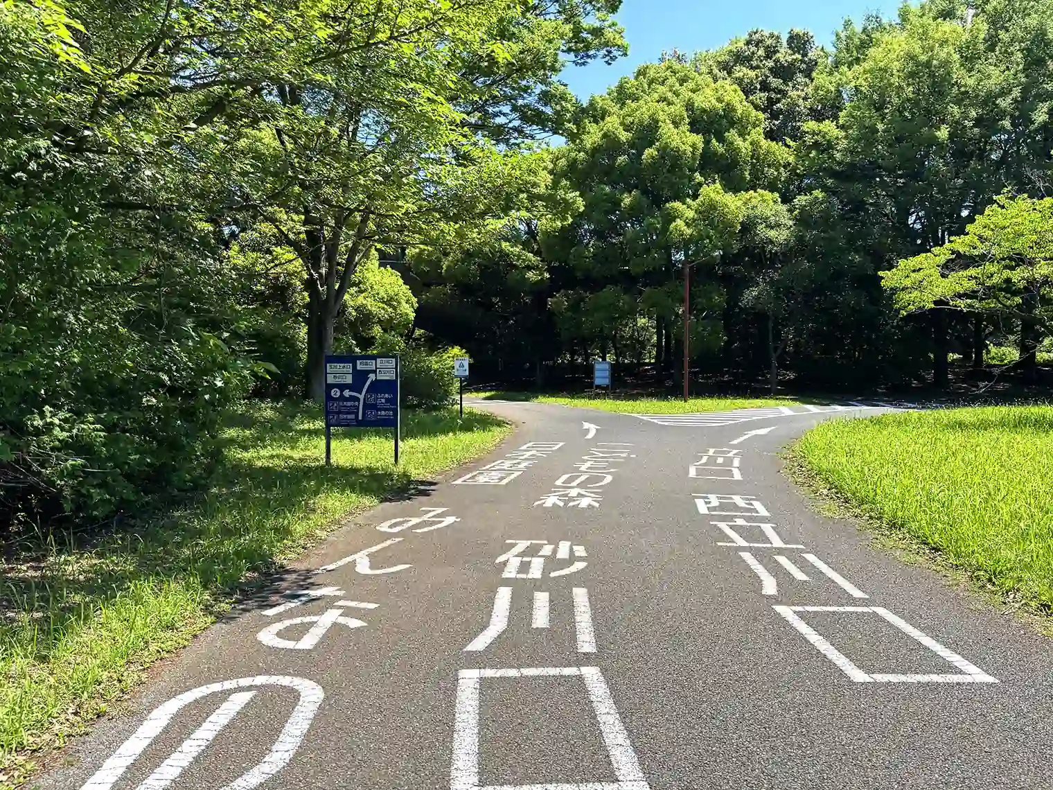 サイクリングコース
