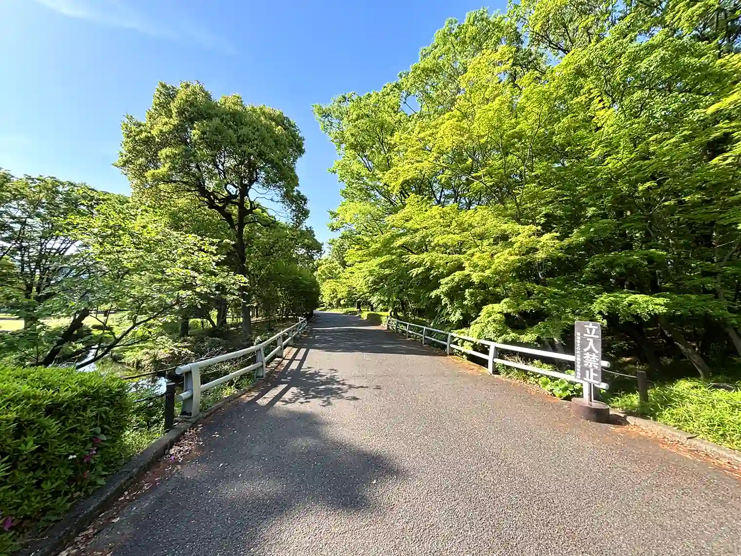 遊歩道