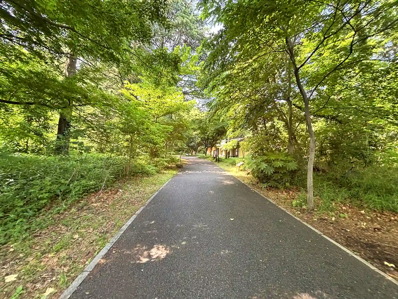 遊歩道（北エリア）