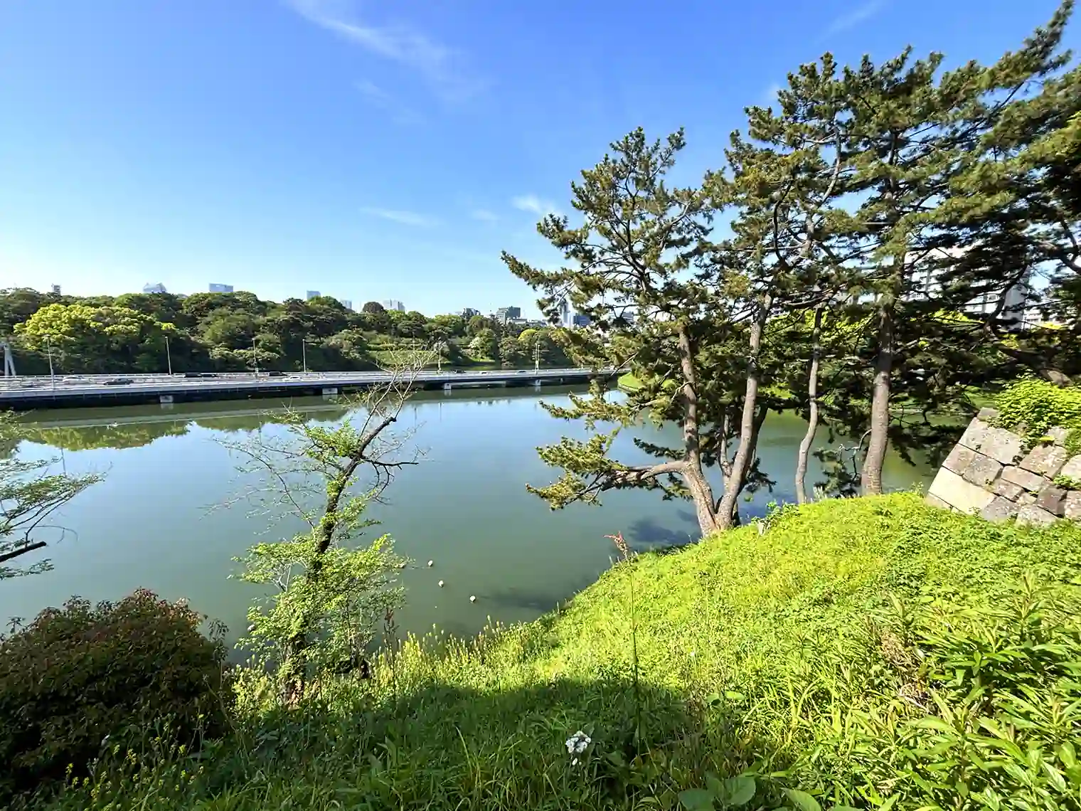 公園から見る千鳥ヶ淵［PIXTA画像］