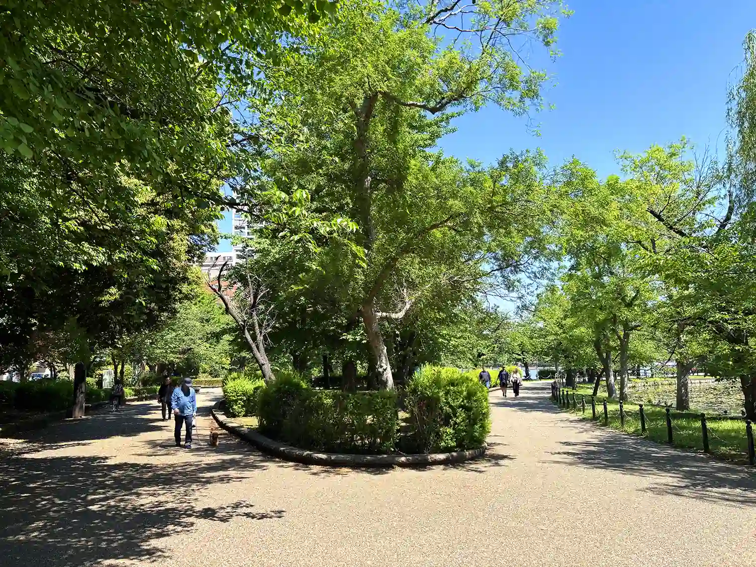 不忍池の遊歩道