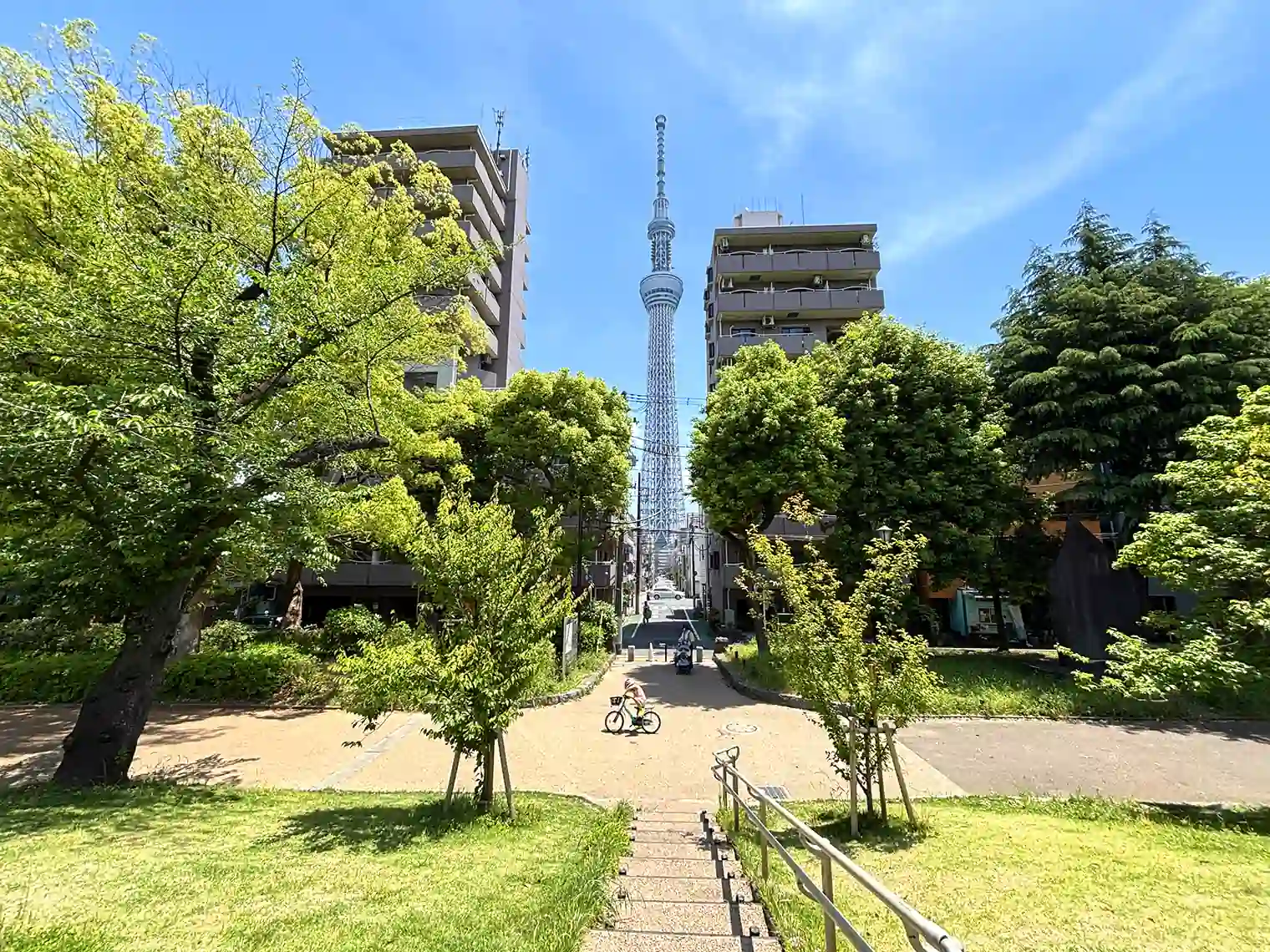 隅田公園とスカイツリー