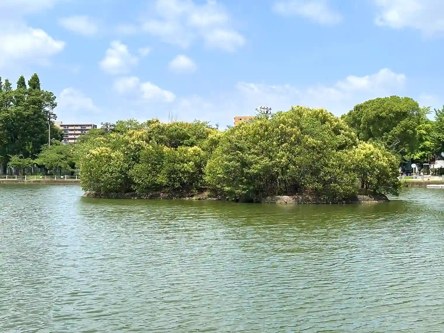 浮島