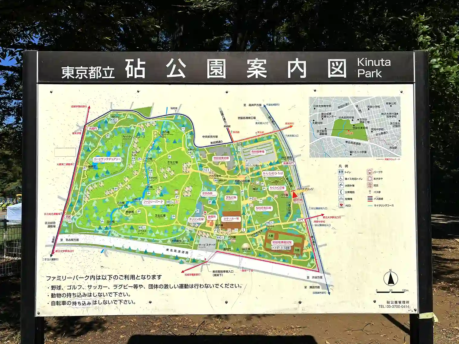 砧公園マップ