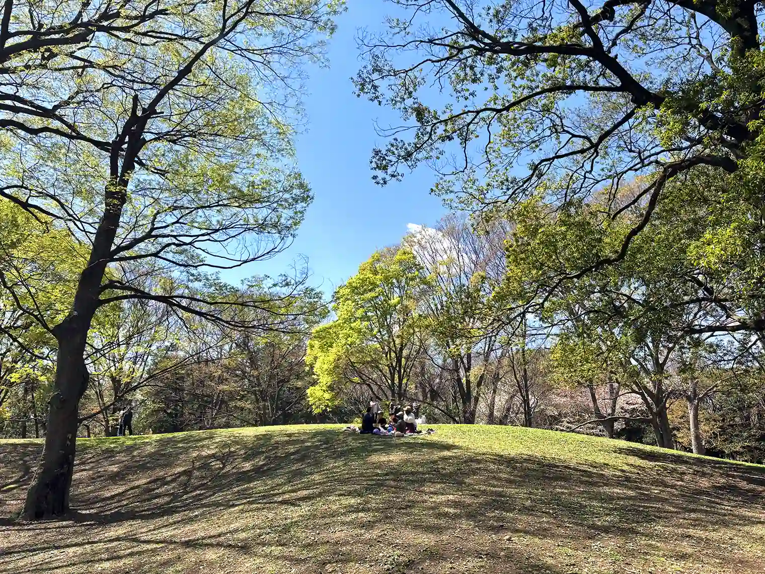 丘の広場