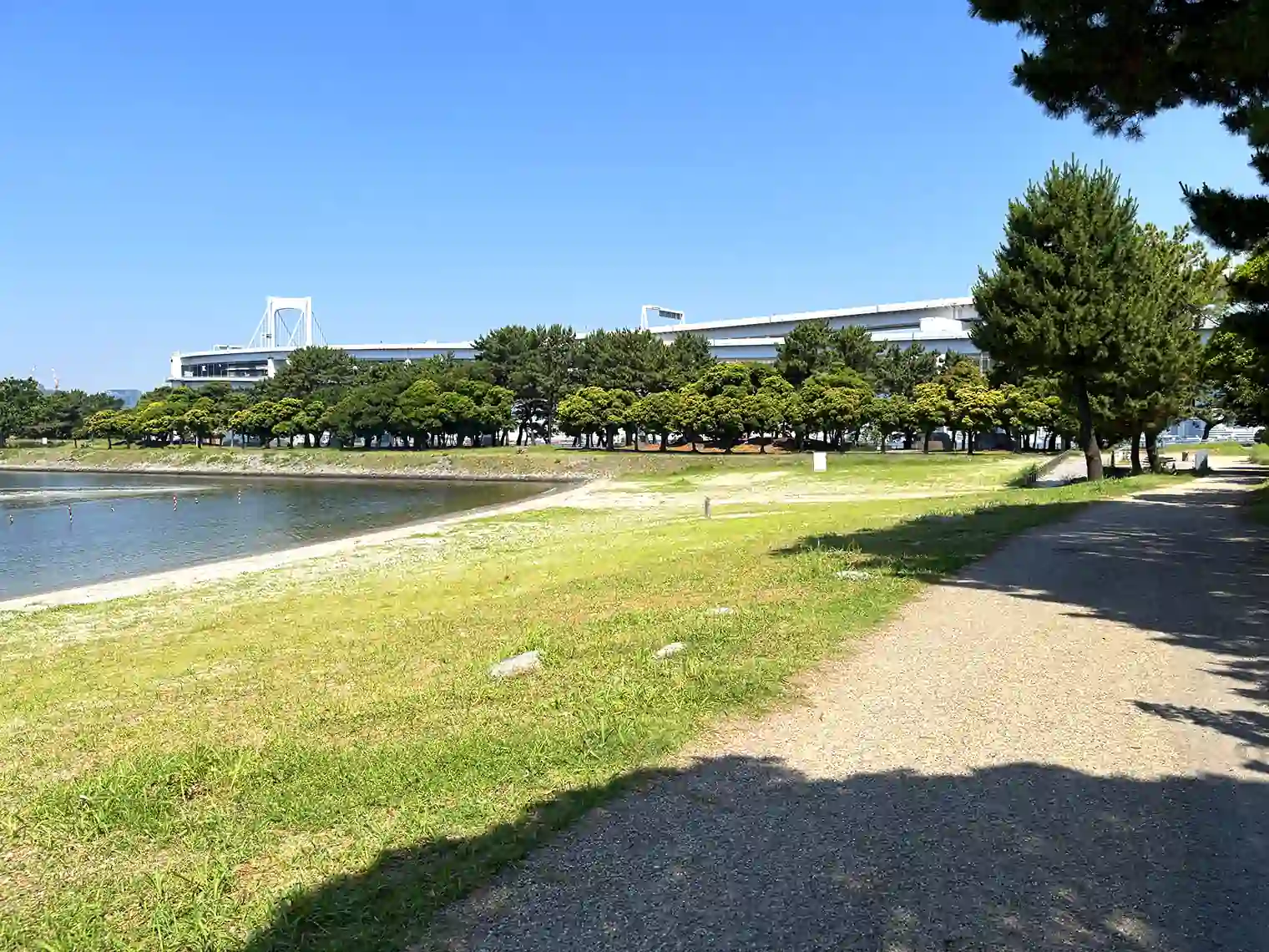 台場公園とレインボーブリッジ