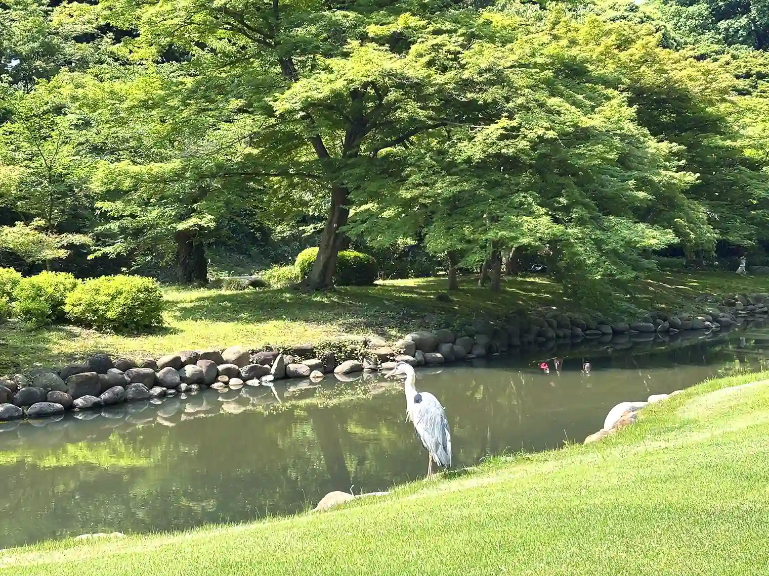 上の池（西エリア）