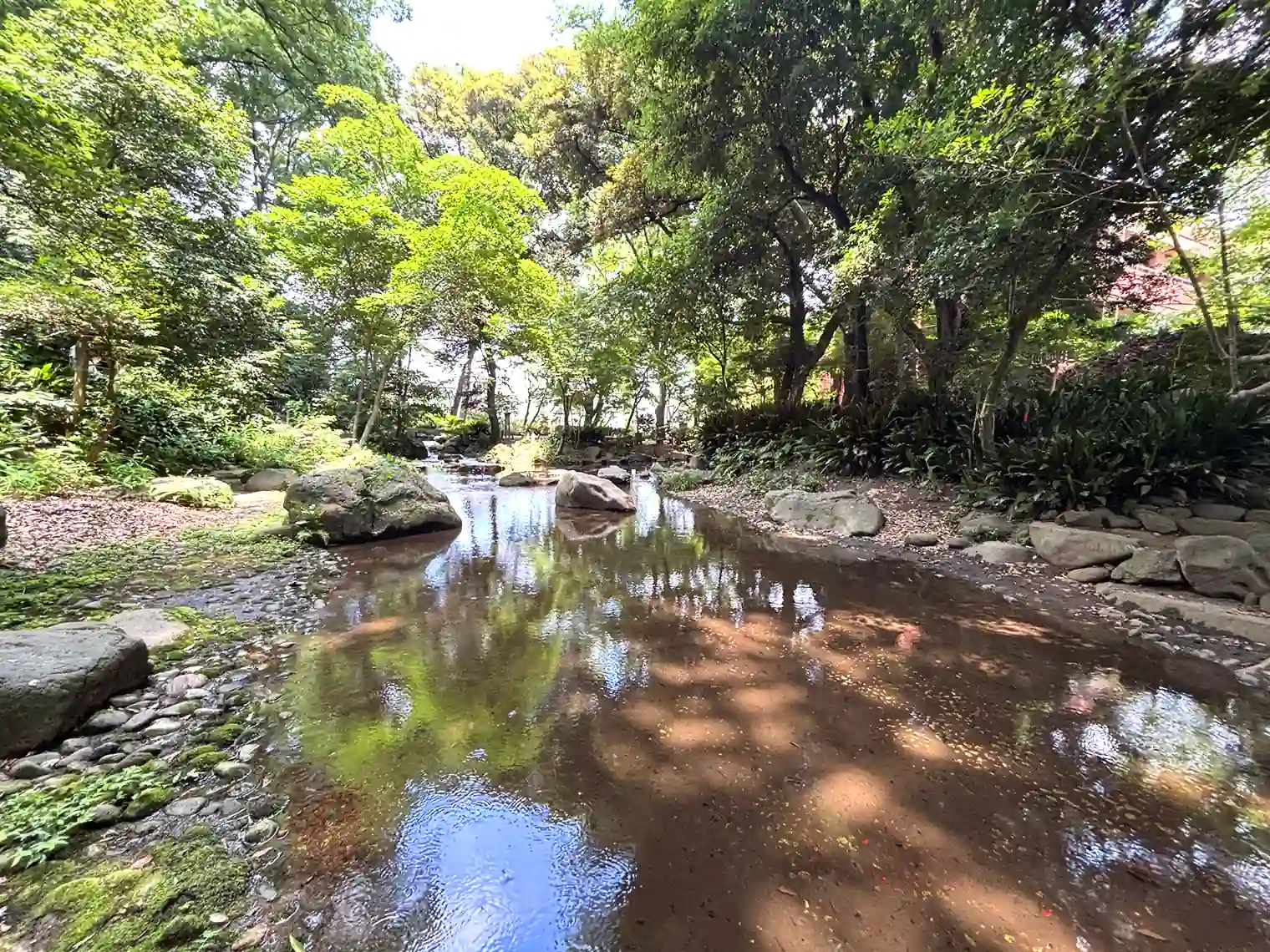 渓流