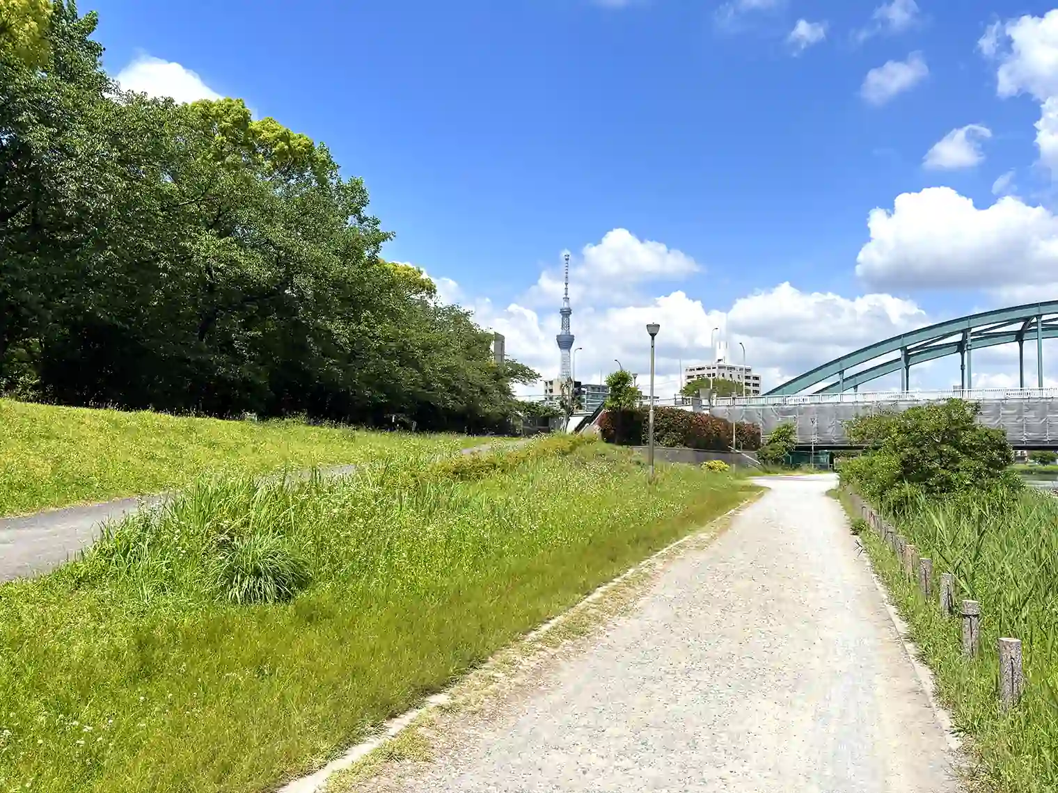 旧中川沿いの遊歩道（B地区）