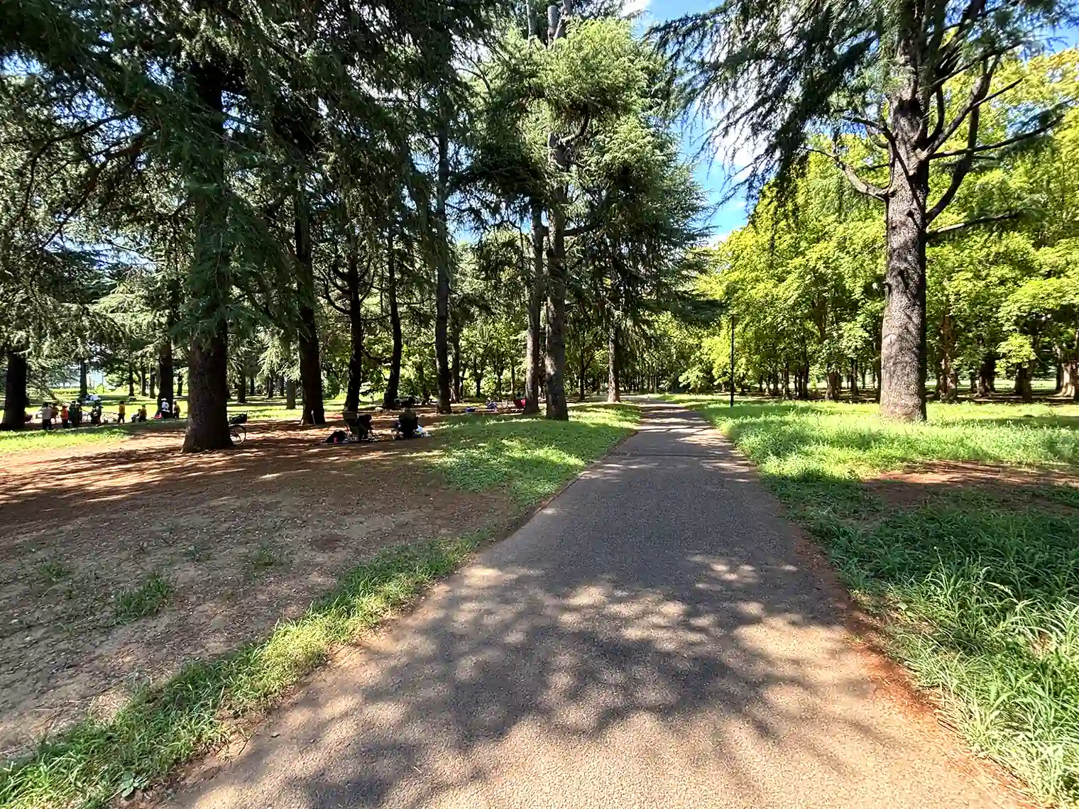 公園内遊歩道