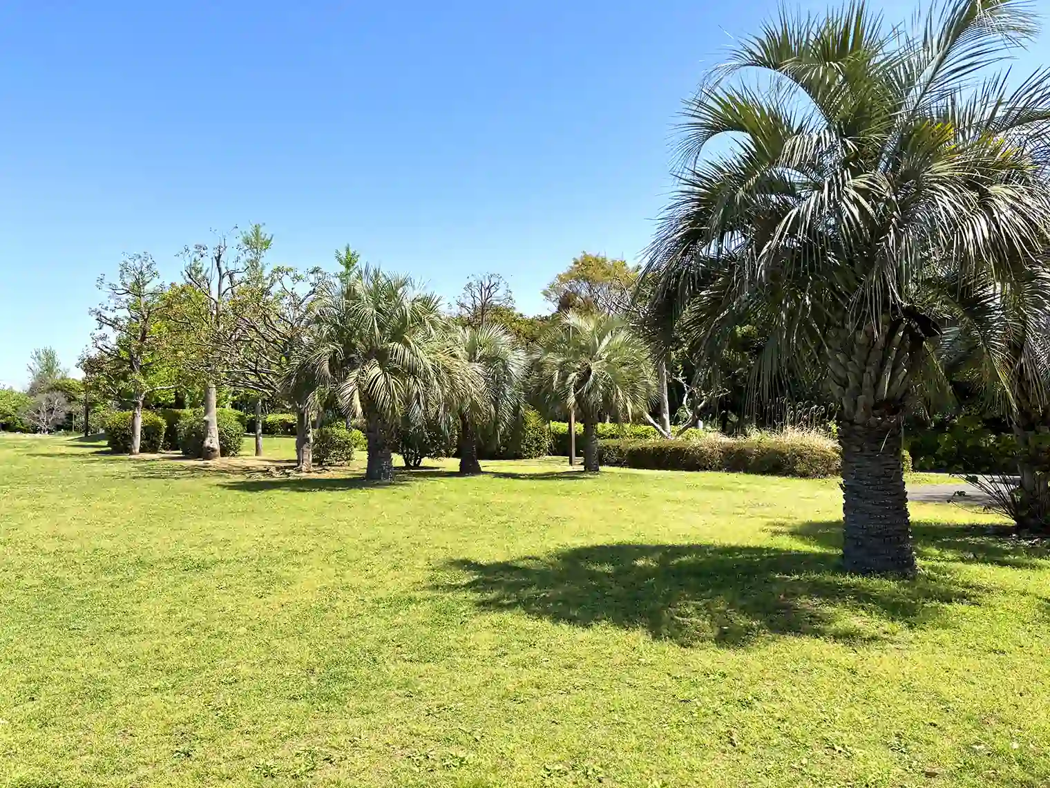 多目的広場（若洲公園）