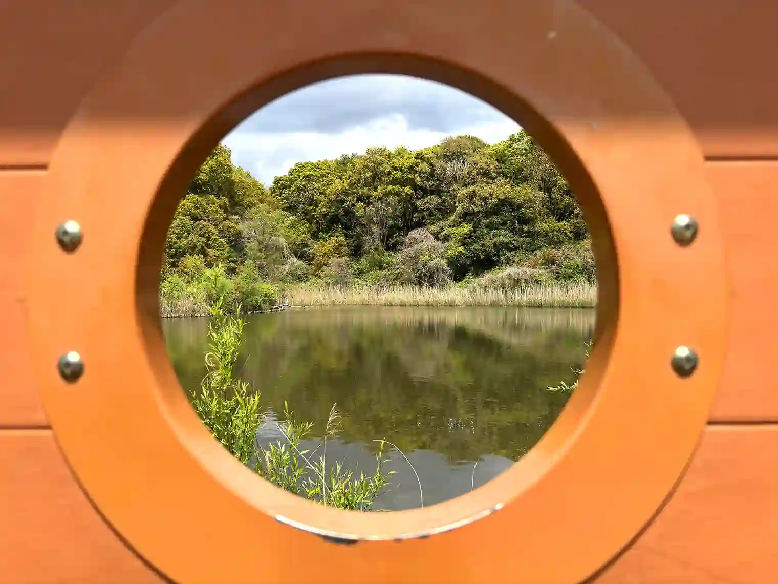 自然観察園（C地区）