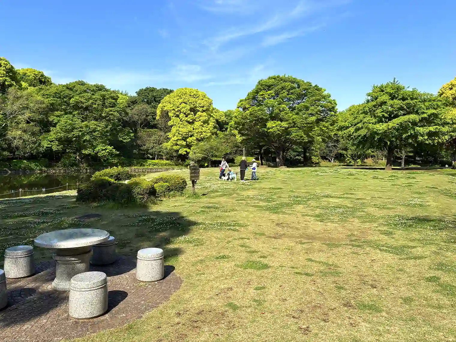 池の横の広場