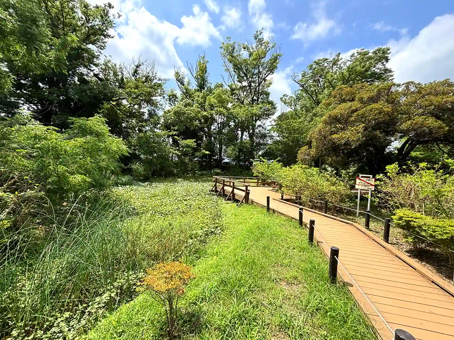 水生植物園