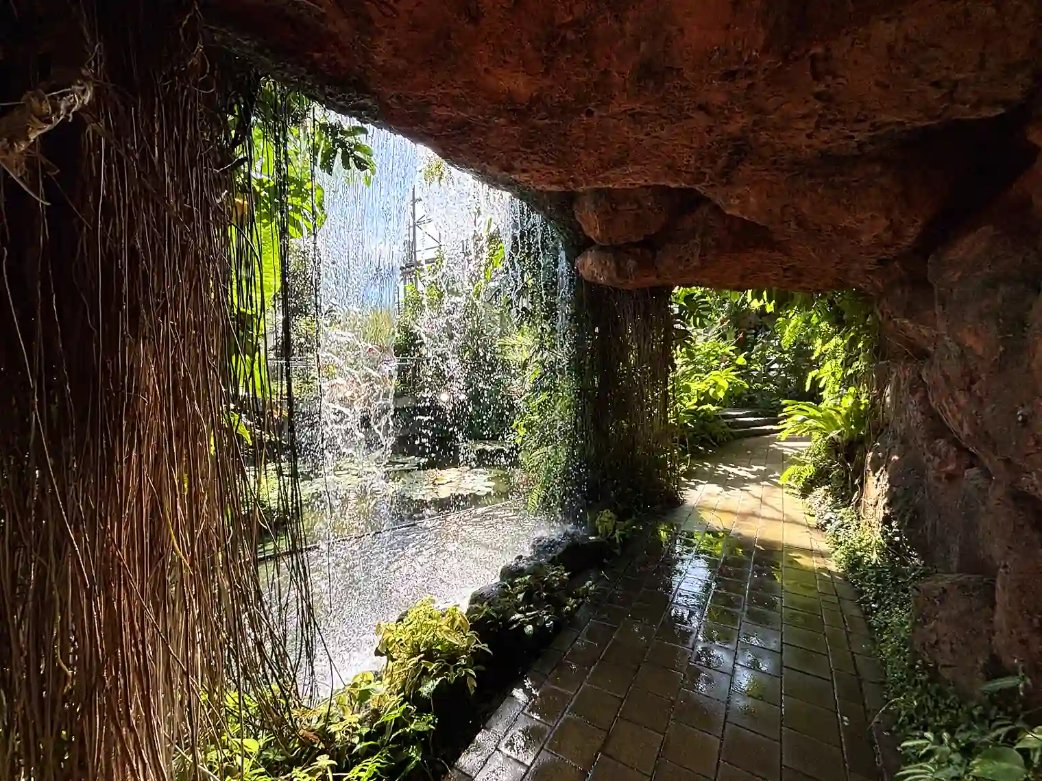 夢の島熱帯植物館内
