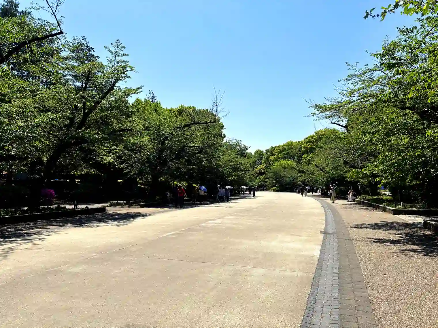 遊歩道