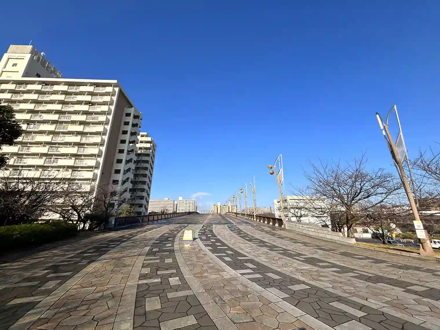 さくら大橋