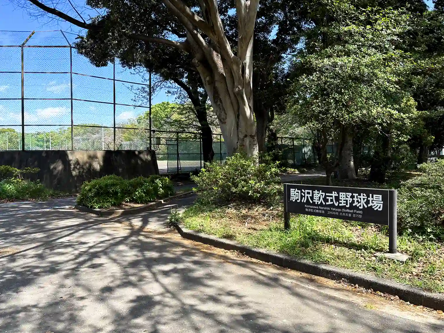 駒沢軟式野球場