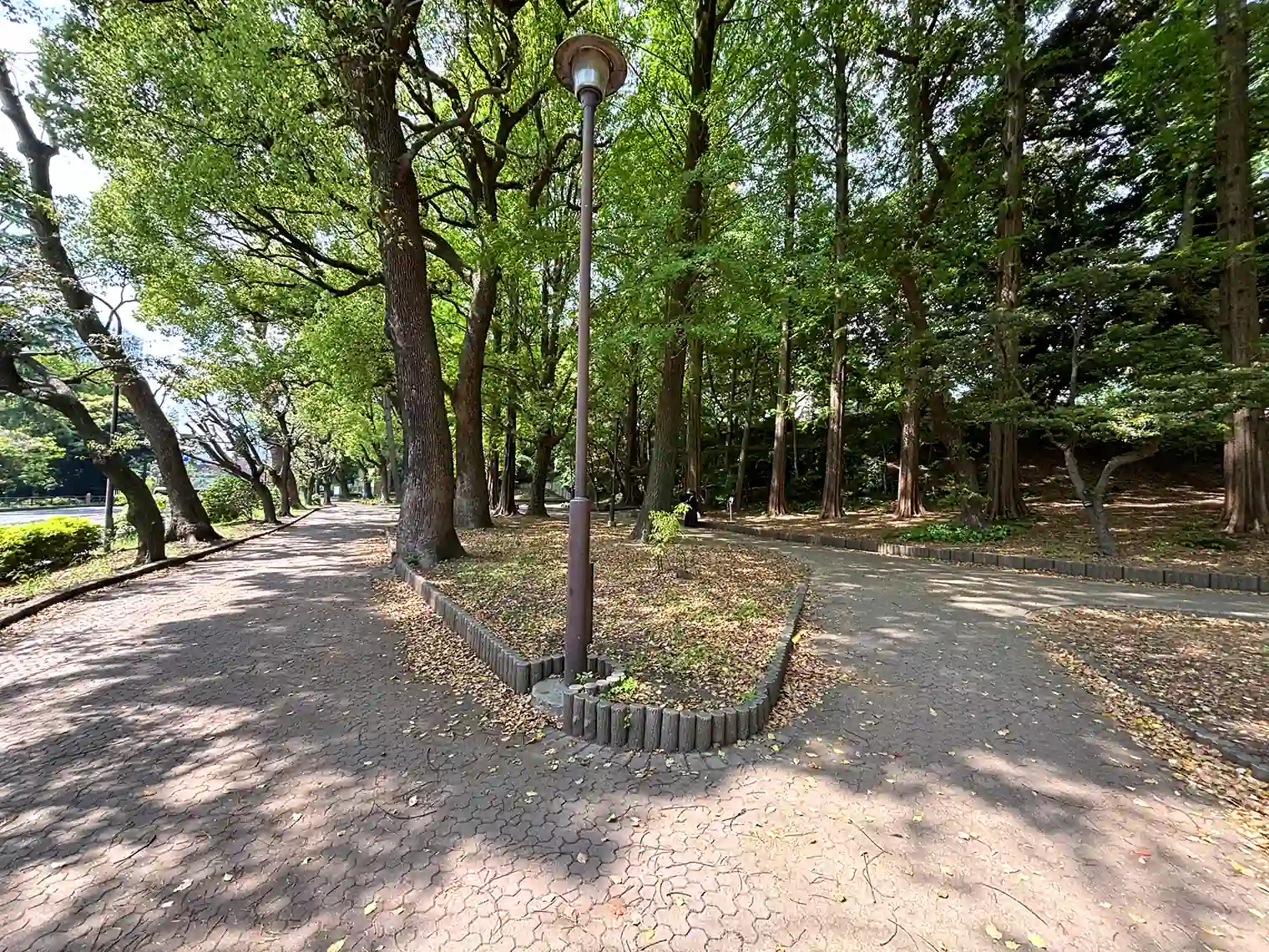 遊歩道（23号地）