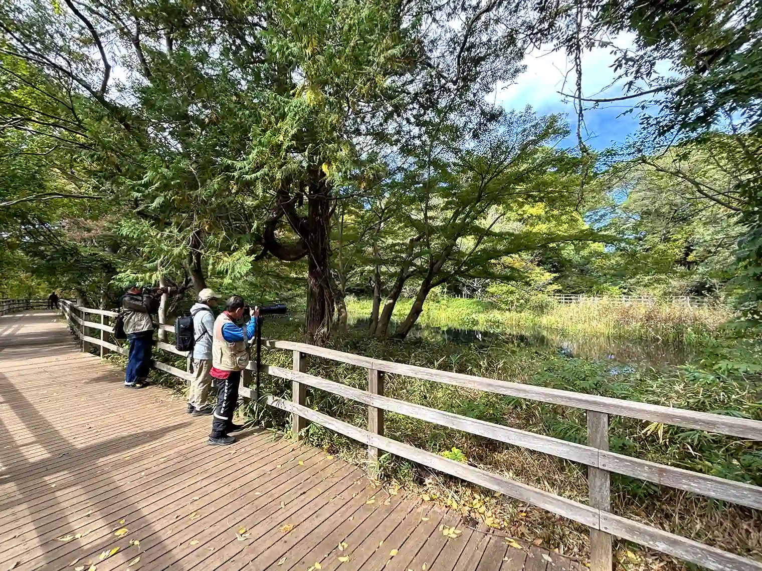 水辺観察園の野鳥を撮影する人