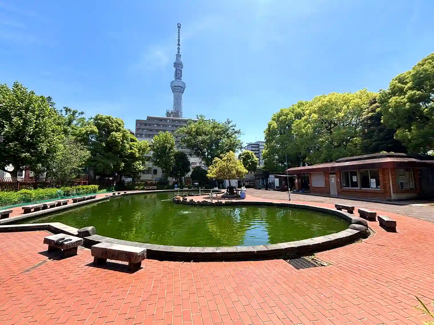 隅田公園魚つり場（令和9年6月30日廃止予定）