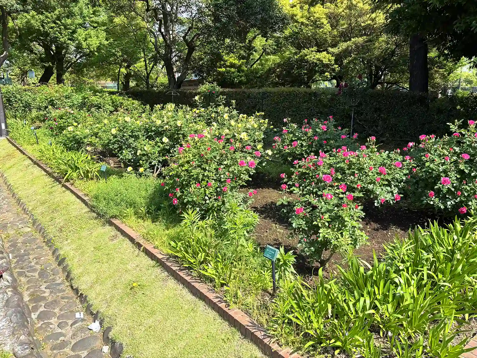 第一花壇