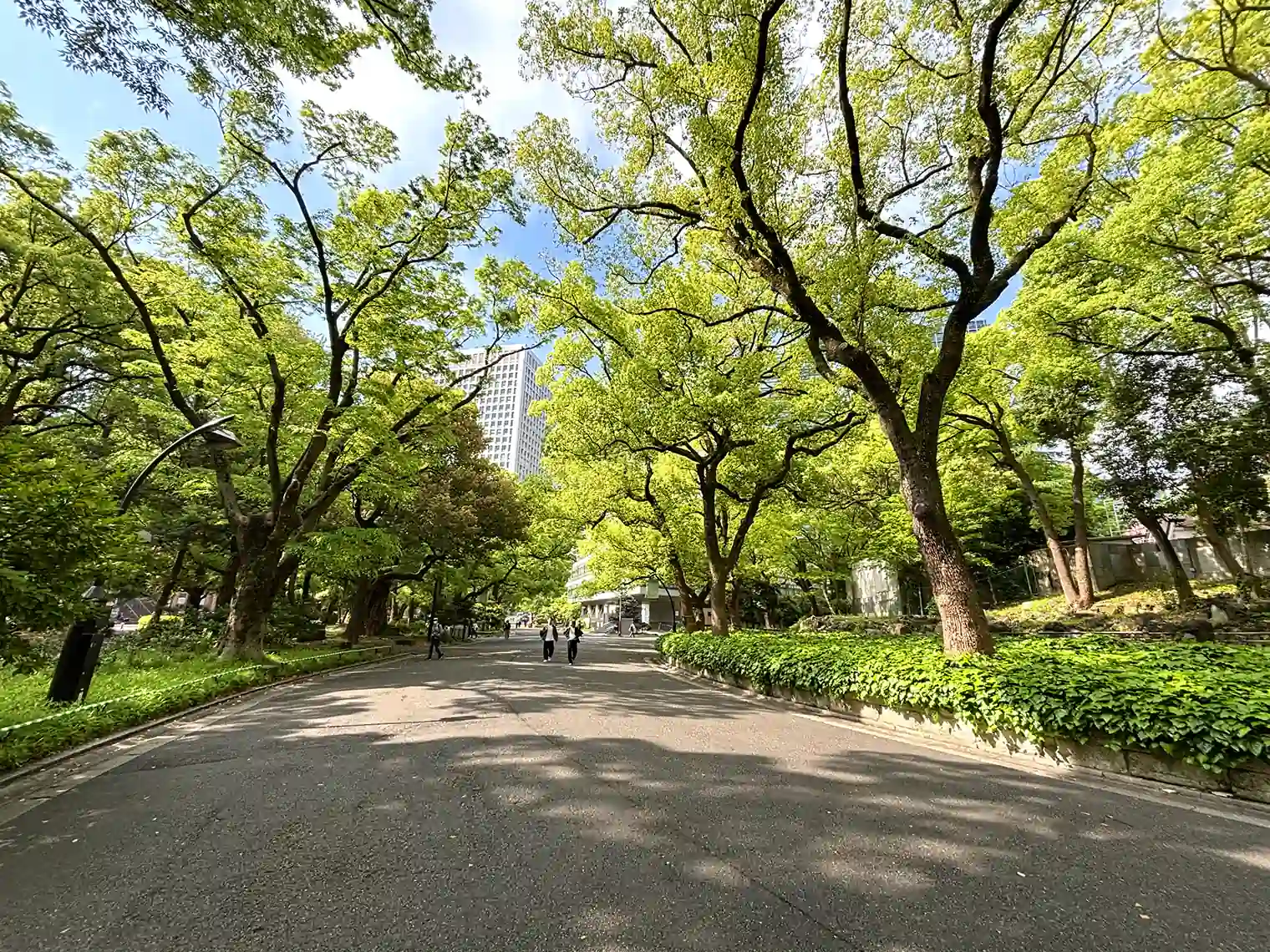 遊歩道