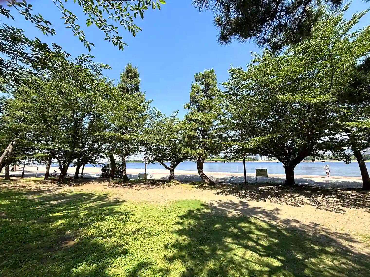 木陰から望むおだいばビーチ