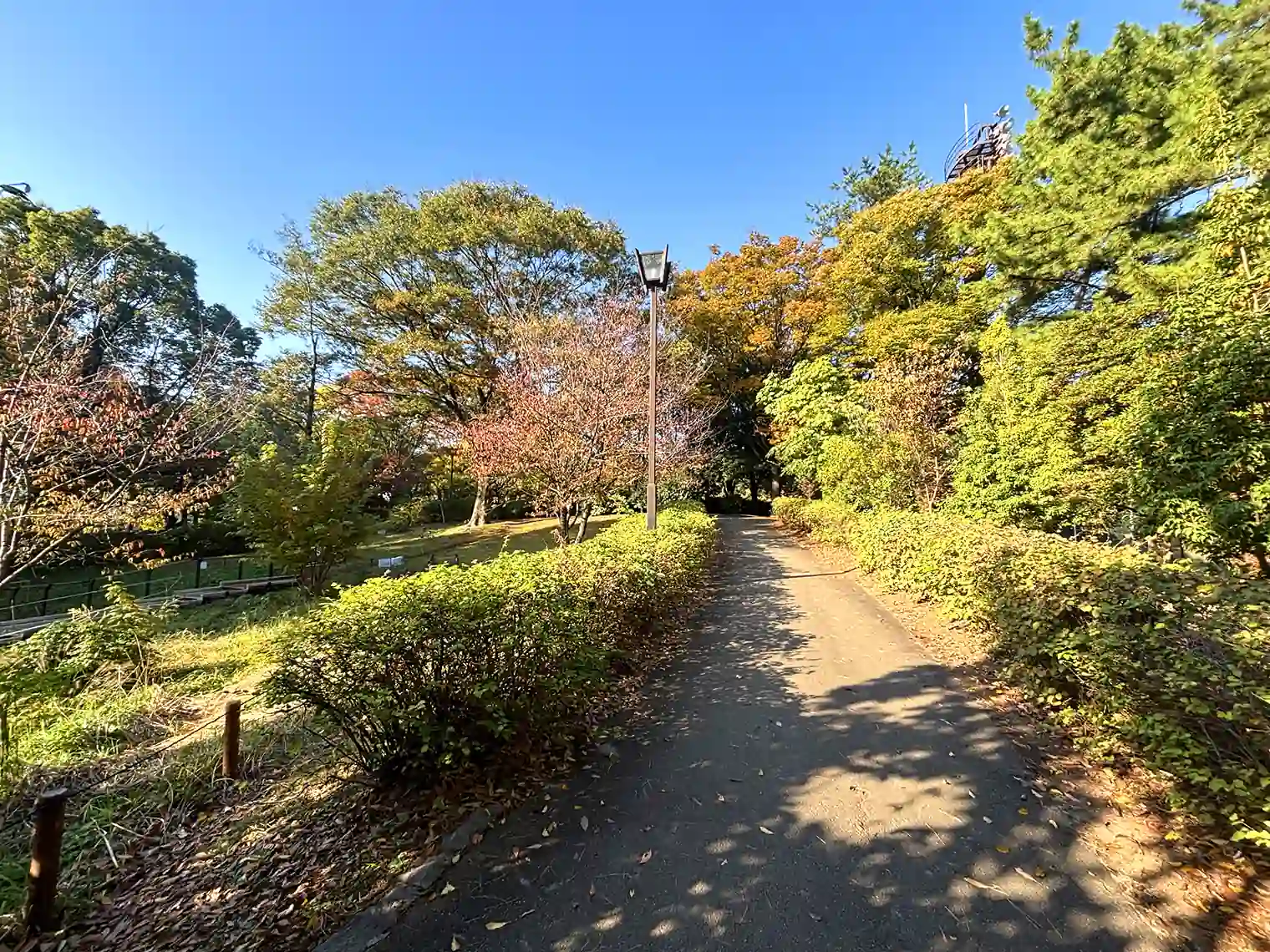 遊歩道