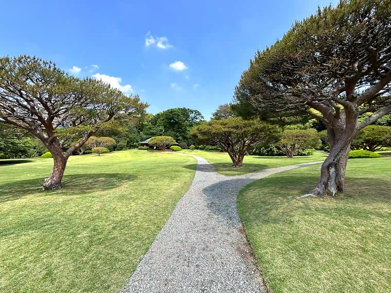 茶室前の小道（西エリア）